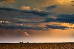 Landschaft