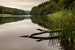 Landschaft