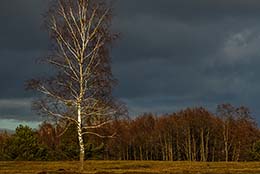 Landschaft