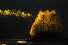Landschaft